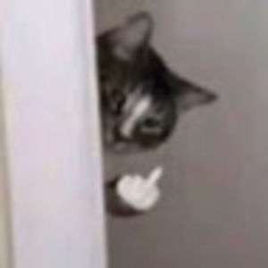 Meet your Posher, Cl0wn